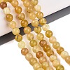 Natural Yellow Opal Beads Strands G-Q616-05B-1