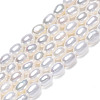 Natural Cultured Freshwater Pearl Beads Strands PEAR-N012-03G-2