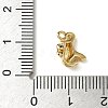 Brass Micro Pave Cubic Zirconia Charms KK-I276-42G-3