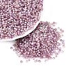Baking Paint Glass Seed Beads SEED-Q041-03A-11-1