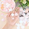 1300Pcs 4 Style Ornament Accessories PVC-OC0001-11A-3