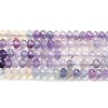 Natural Fluorite Beads Strands G-E608-C10-A-1