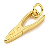 Rack Plating Brass Pendants KK-Z063-30D-G-2