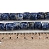 Natural Blue Spot Jasper Beads Strands G-G275-D21-10x10mm-5