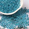 6/0 Transparent Inside Colours Glass Seed Beads SEED-P006-01A-08-1