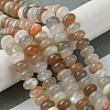 Natural Multi-Moonstone Beads Strands G-A092-F03-03-2