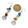 Natural & Synthetic Mixed Stone Chips Dangle Earrings EJEW-JE05390-02-2