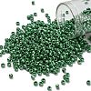 TOHO 8/0 Round Beads X-SEED-TR08-0130D-1