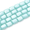 Opaque Solid Color Glass Beads Strands X-GLAA-N032-04M-1
