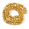 Electroplate Glass Beads Strands EGLA-B009-05A-03-3