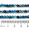 Natural Agate Beads Strands G-H302-A01-02-5