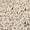 11/0 Grade A Glass Seed Beads SEED-S030-1012-2