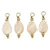 Natural Freshwater Shell Pendants SH-CBA5EEC-07G-1