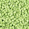 FGB Baking Paint Glass Seed Beads SEED-Q040-09A-11-3