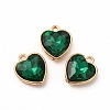 Faceted Glass Rhinestone Pendants GLAA-I051-B22-2