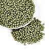 Baking Paint Pearlized Glass Seed Beads SEED-T007-21A-14-3