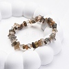 Natural Moonstone Chip Beaded Stretch Bracelets for Women Men BJEW-L038-01D-2