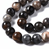 Natural Black Sunstone Beads Strands G-N328-48A-01-3