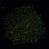 Luminous Glass Seed Beads X1-SEED-A033-07M-5