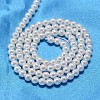 Round Shell Pearl Bead Strands X-BSHE-L011-2.5mm-A013-3