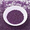 MIYUKI Delica Beads X-SEED-J020-DB0463-2