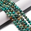 Dyed Natural Regalite/Imperial Jasper/Sea Sediment Jasper Beads Strands G-B124-C02-13-2