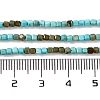Natural Howlite Beads Strands G-G001-A02-06-5