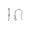304 Stainless Steel Earring Hooks LS-STAS-S057-61-3