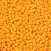 MIYUKI Round Rocailles Beads SEED-G008-RR4453-2