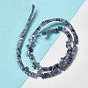 Natural Blue Spot Jasper Beads Strands G-Z045-A08-01-3