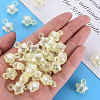 Transparent Crackle Acrylic Pendants LS-MACR-S373-63-L06-6