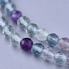 Natural Fluorite Beaded Necklaces NJEW-K114-B-A16-2