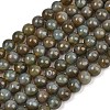 Handmade Lampwork Beads Strand LAMP-B056-8mm-21-2