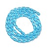 Transparent Glass Beads Strands GLAA-Z018-C23-2