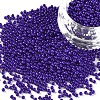 11/0 Grade A Baking Paint Glass Seed Beads X-SEED-N001-A-1010-1