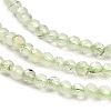 Natural Prehnite Beads Strands G-RM2025-34-2.5mm-4