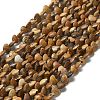 Natural Picture Jasper Beads Strands G-P575-C08-6mm-2