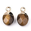 Natural Tiger Eye Charms G-N326-58C-3