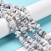 Natural Purple Turquoise Beads Strands G-M205-84-4
