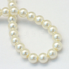 Baking Painted Pearlized Glass Pearl Round Bead Strands HY-Q003-10mm-02-4