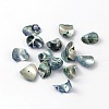 Natural Sea Shell Beads BSHE-S002-1-1