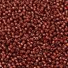 TOHO 11/0 Round Beads SEED-XTR11-PF2113-2