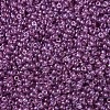 MIYUKI Round Rocailles Beads SEED-X0054-RR0316-3