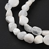 Natural Rainbow Moonstone Beads Strands G-P497-01C-63-4