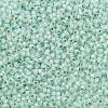 TOHO 11/0 Round Beads X-SEED-TR11-PF2118-2