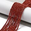 Natural Red Jasper Beads Strands G-J002-22-2