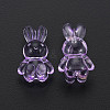 Transparent Acrylic Beads LS-MACR-S373-81-B05-3