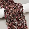 Natural Rhodonite Beads Strands G-F328-23-5