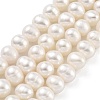 Natural Cultured Freshwater Pearl Beads Strands PEAR-C003-18C-1