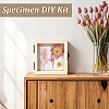 Insect Specimen DIY Kit WOCR-GA0001-02-5
